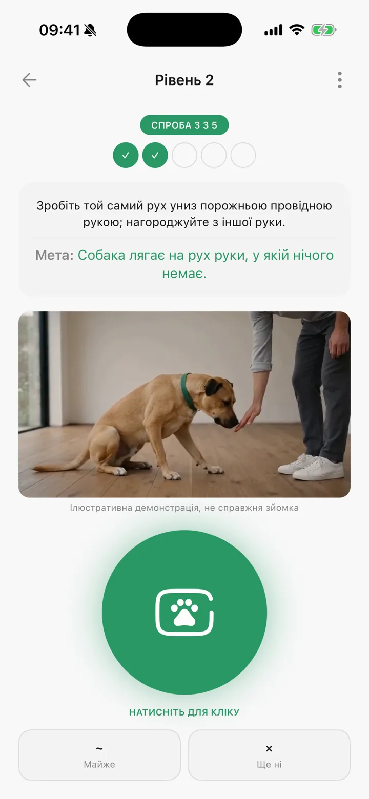 Занятие по дрессировке в Tailomi: подход за подходом, с демороликом и виртуальным кликером