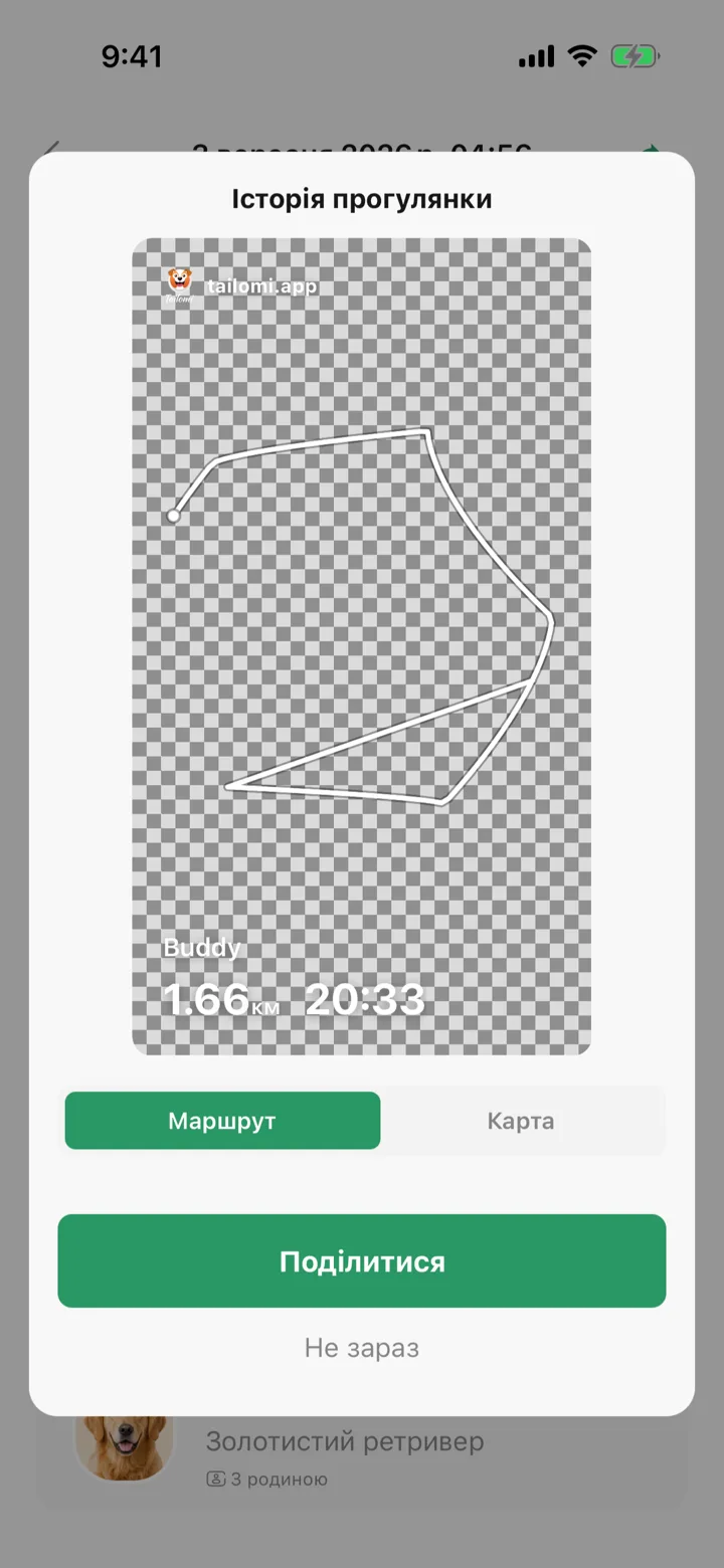 Карточка истории прогулки в Tailomi: маршрут прозрачным стикером, с расстоянием и временем