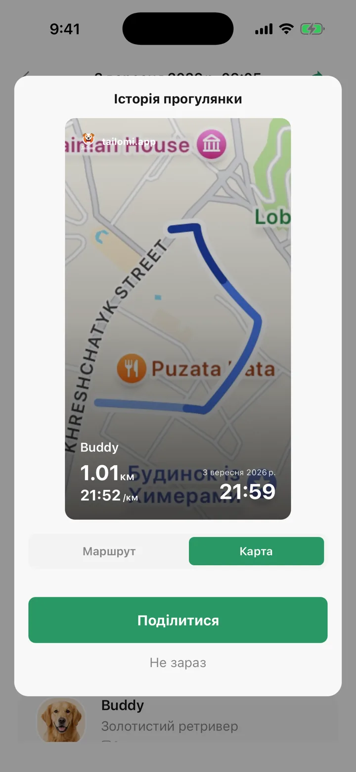 Карточка прогулки Tailomi, готовая к публикации: питомец, расстояние, темп, дата и время